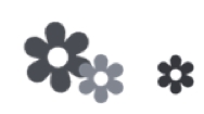 Three grey flowers that fade up to cover yellow flowers, making it look like the colour drains out of them.