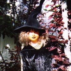 The Wicket Witch of the West