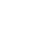 A snowflake